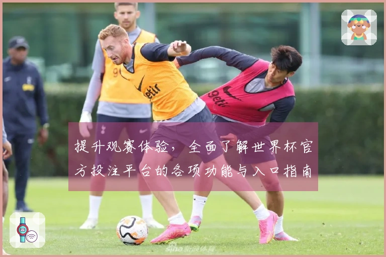 提升观赛体验，全面了解世界杯官方投注平台的各项功能与入口指南