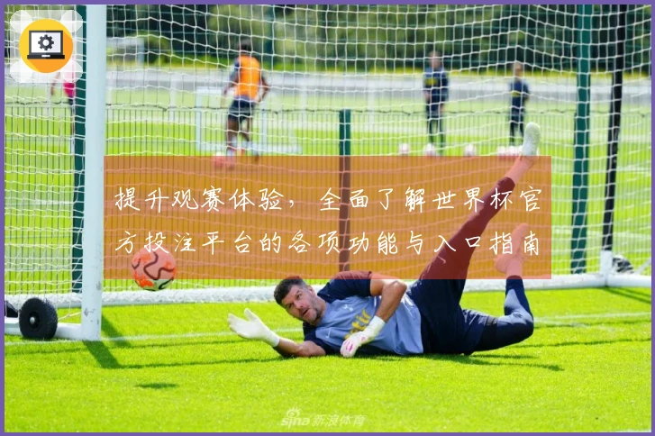 提升观赛体验，全面了解世界杯官方投注平台的各项功能与入口指南