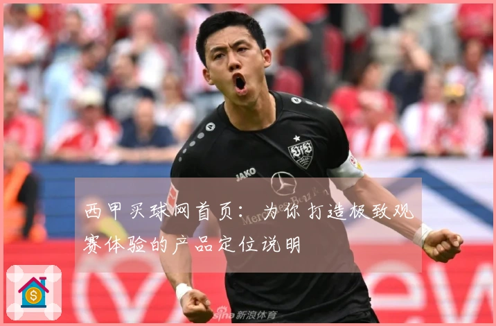 西甲买球网首页：为你打造极致观赛体验的产品定位说明
