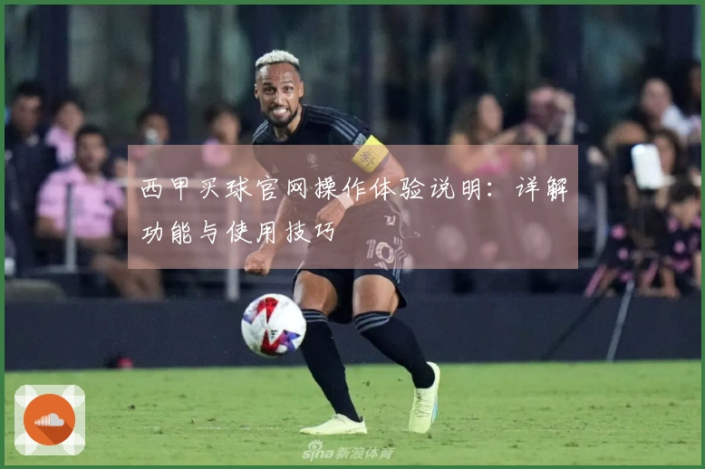 西甲买球官网操作体验说明：详解功能与使用技巧