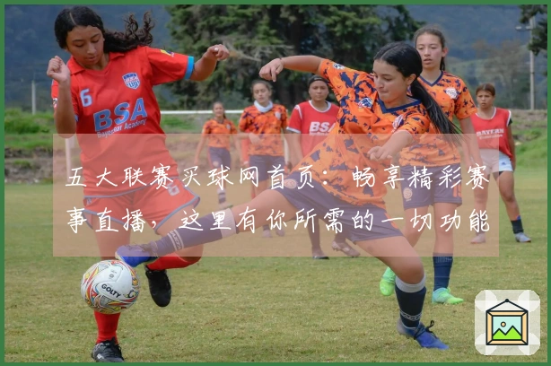 五大联赛买球网首页：畅享精彩赛事直播，这里有你所需的一切功能指南