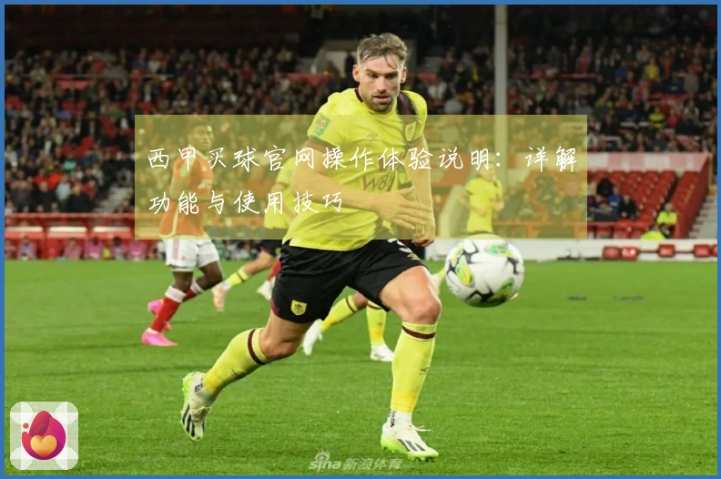 西甲买球官网操作体验说明：详解功能与使用技巧