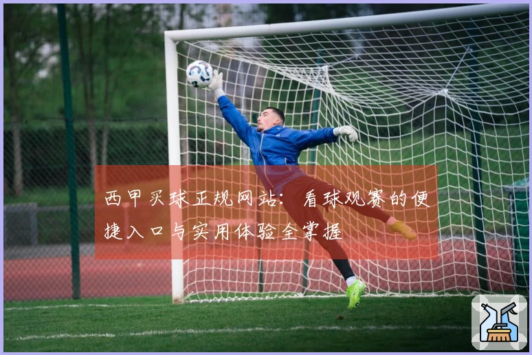 西甲买球正规网站：看球观赛的便捷入口与实用体验全掌握